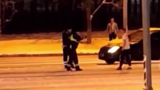 Задержан мужчина, напавший с ножом на полицейских и охранника парка в Домодедове