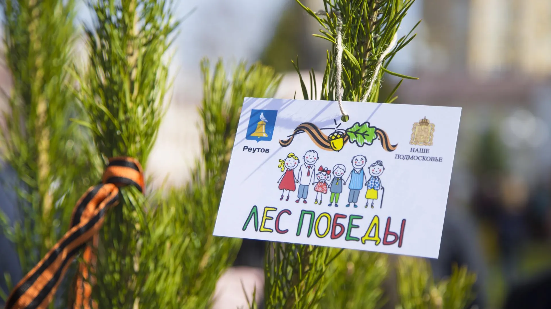 Масштабная акция «Лес Победы» пройдет в Подмосковье в субботу