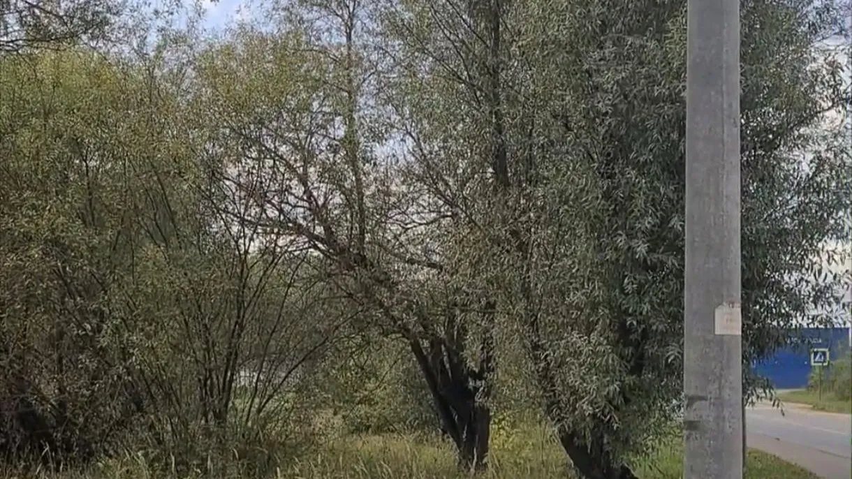 В Подольске на торги выставят участок под размещение объекта дорожного сервиса