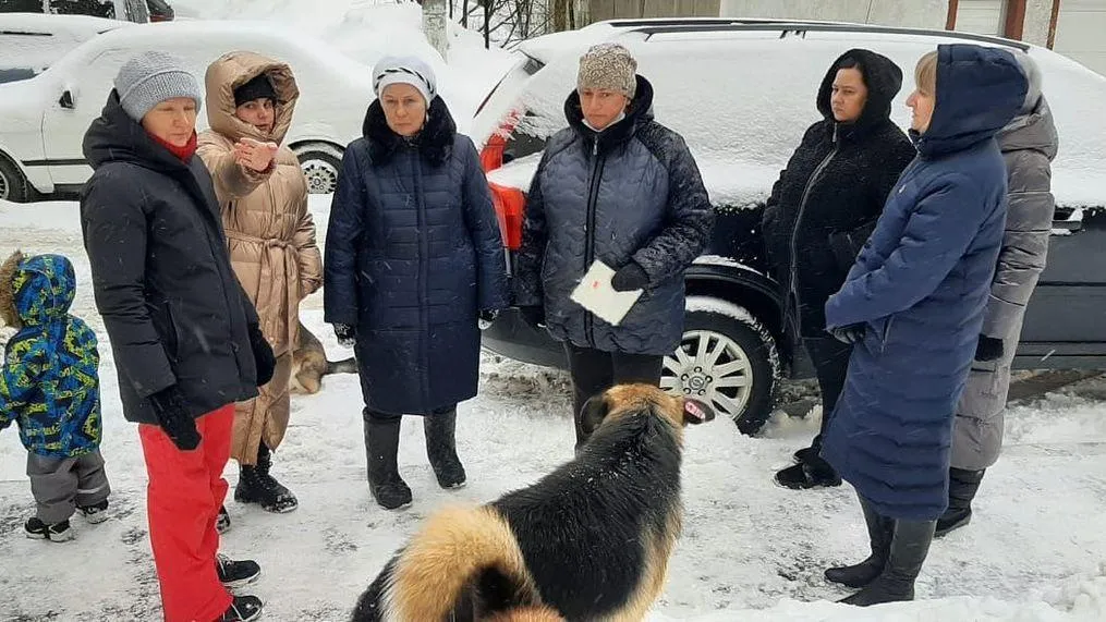 Бездомную собаку из поселка Поведники Мытищ направят на содержание в приют
