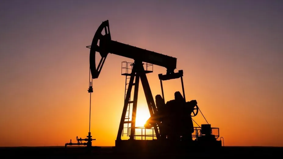 Андрей Бакусов / Фотобанк Лори