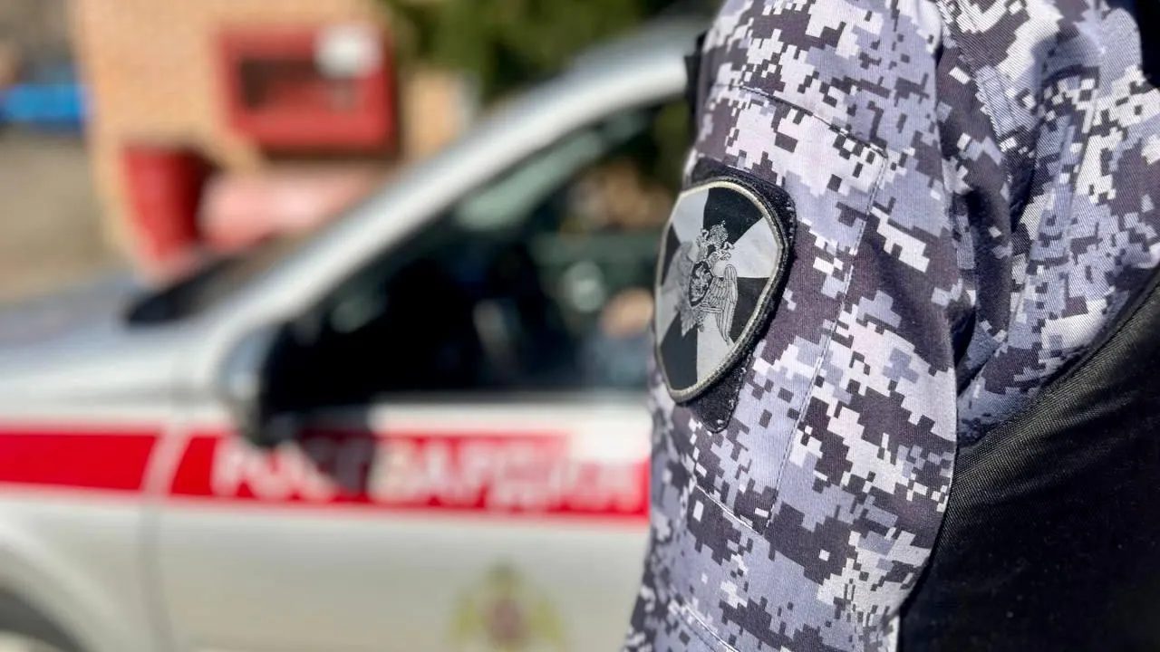 Росгвардейцы Подмосковья задержали подозреваемого в краже из сетевого магазина