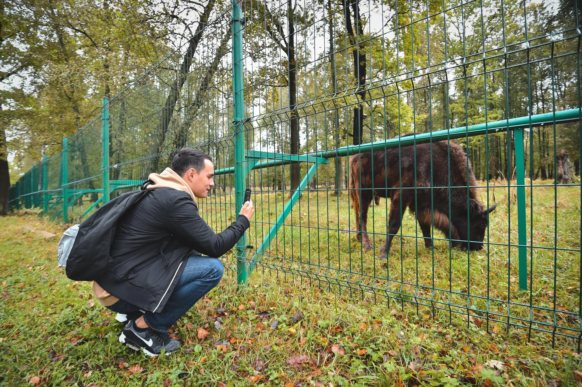 Александр Манзюк