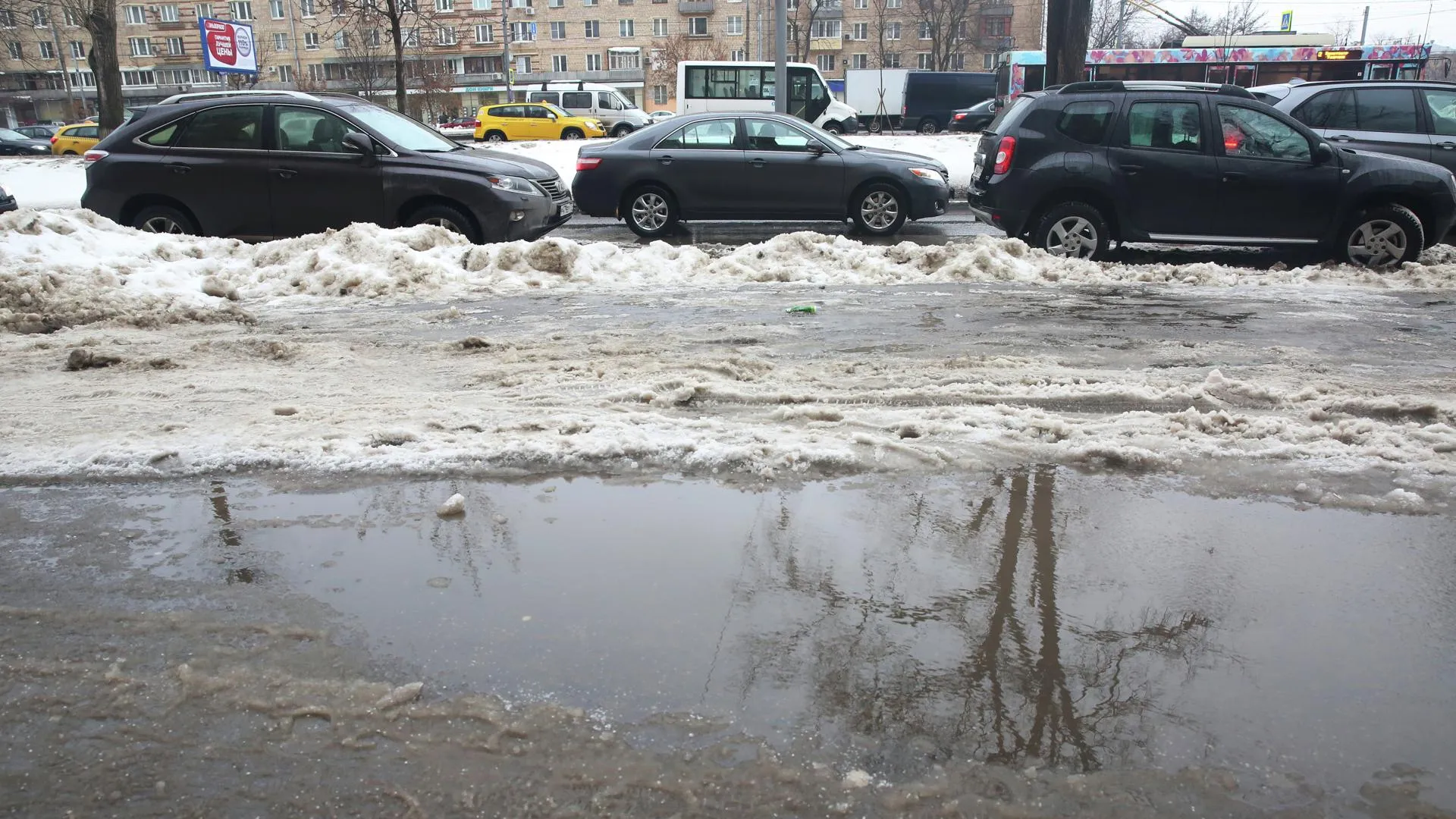 Февраль в Московском регионе начнется с оттепели