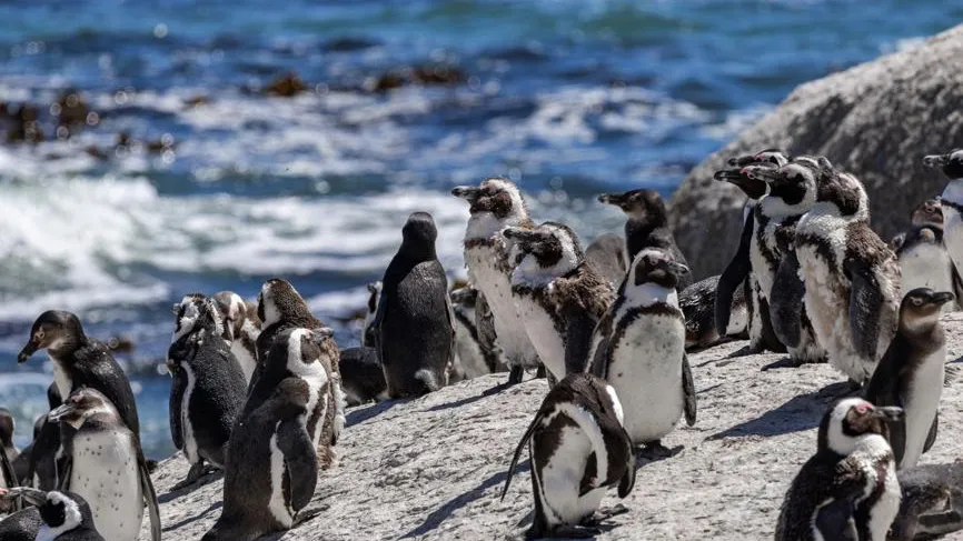 Екатерина Якименко / Фотобанк Лори