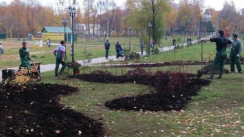 Реконструкцию парка в Солнечногорске планируют объединить с благоустройством набережной