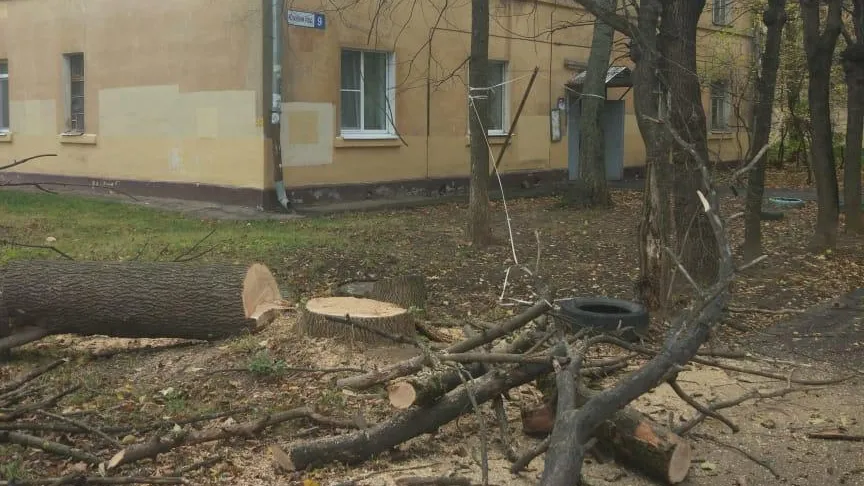Сухие деревья спилили по трем адресам в микрорайоне Климовск Подольска