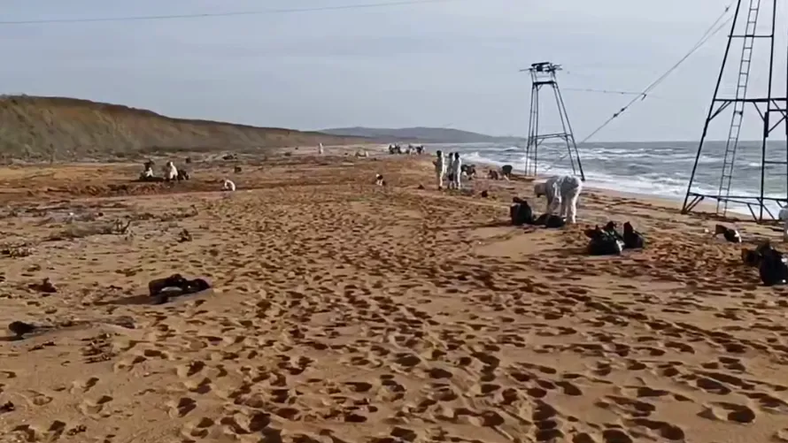 В Крыму усилят работу по ликвидации разлива мазута в Керченском проливе