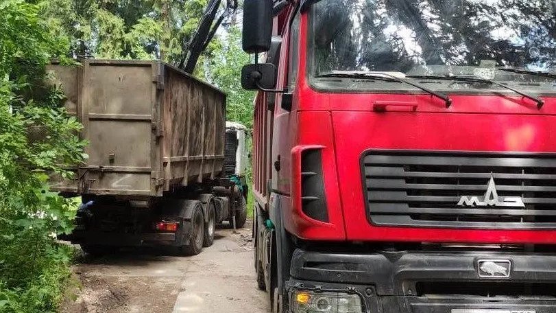 Еще 100 навалов мусора ликвидировали в лесах Подмосковья с начала августа