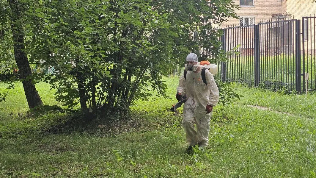 В больнице Долгопрудного зафиксировали 59 случаев укусов клещей