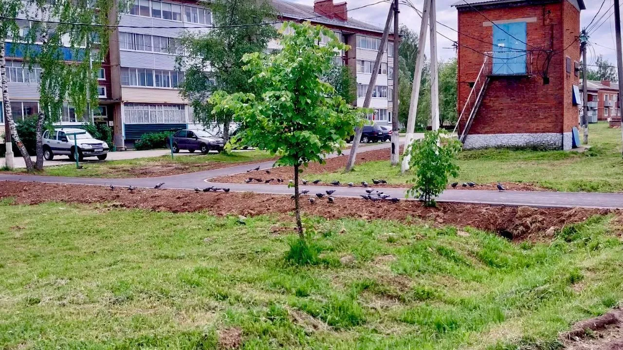 В Шаховской завершено обустройство трех «народных троп»
