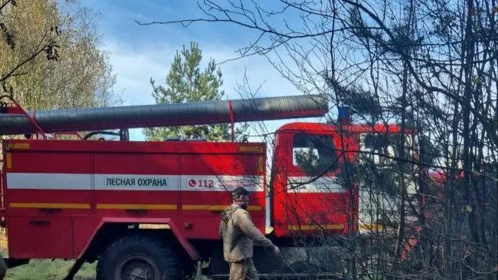 В Павловском Посаде потушили один лесной пожар за минувшие сутки