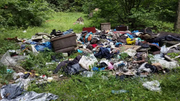 Около 70 придорожных свалок ликвидировали в Подмосковье за неделю