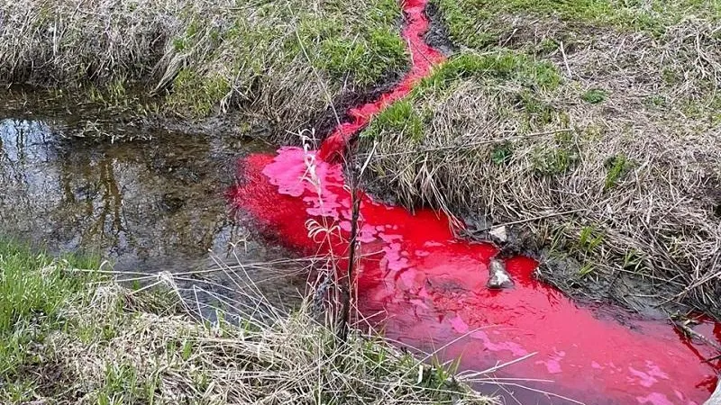 В Наро‑Фоминске ликвидировали загрязнение реки Гвоздни