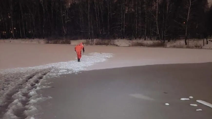 Примерзшего ко льду реки кота спасли в Балашихе