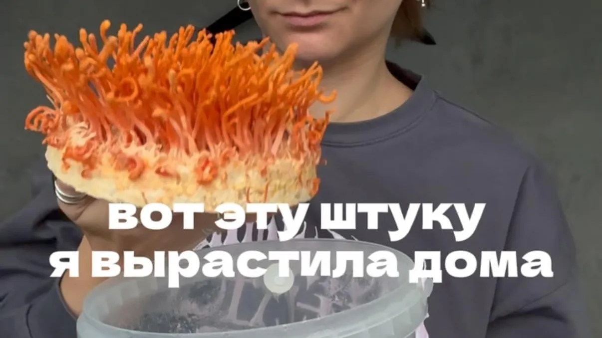 Москвичка вырастила «зомбогриб» из сериала «Одни из нас» и съела его