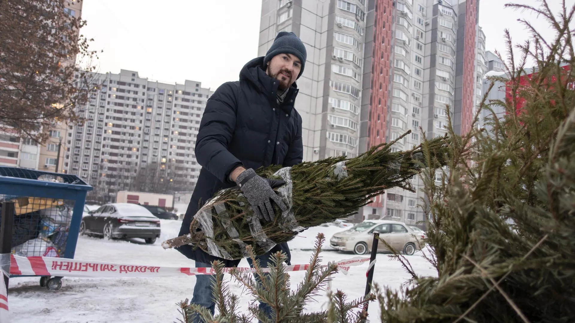 8 пунктов приема елей откроются в Реутове 15 января