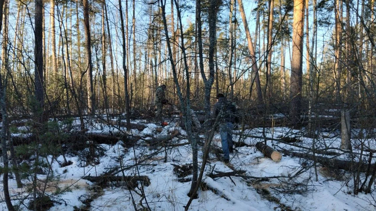 Лесничие Подмосковья оказывают помощь бойцам СВО