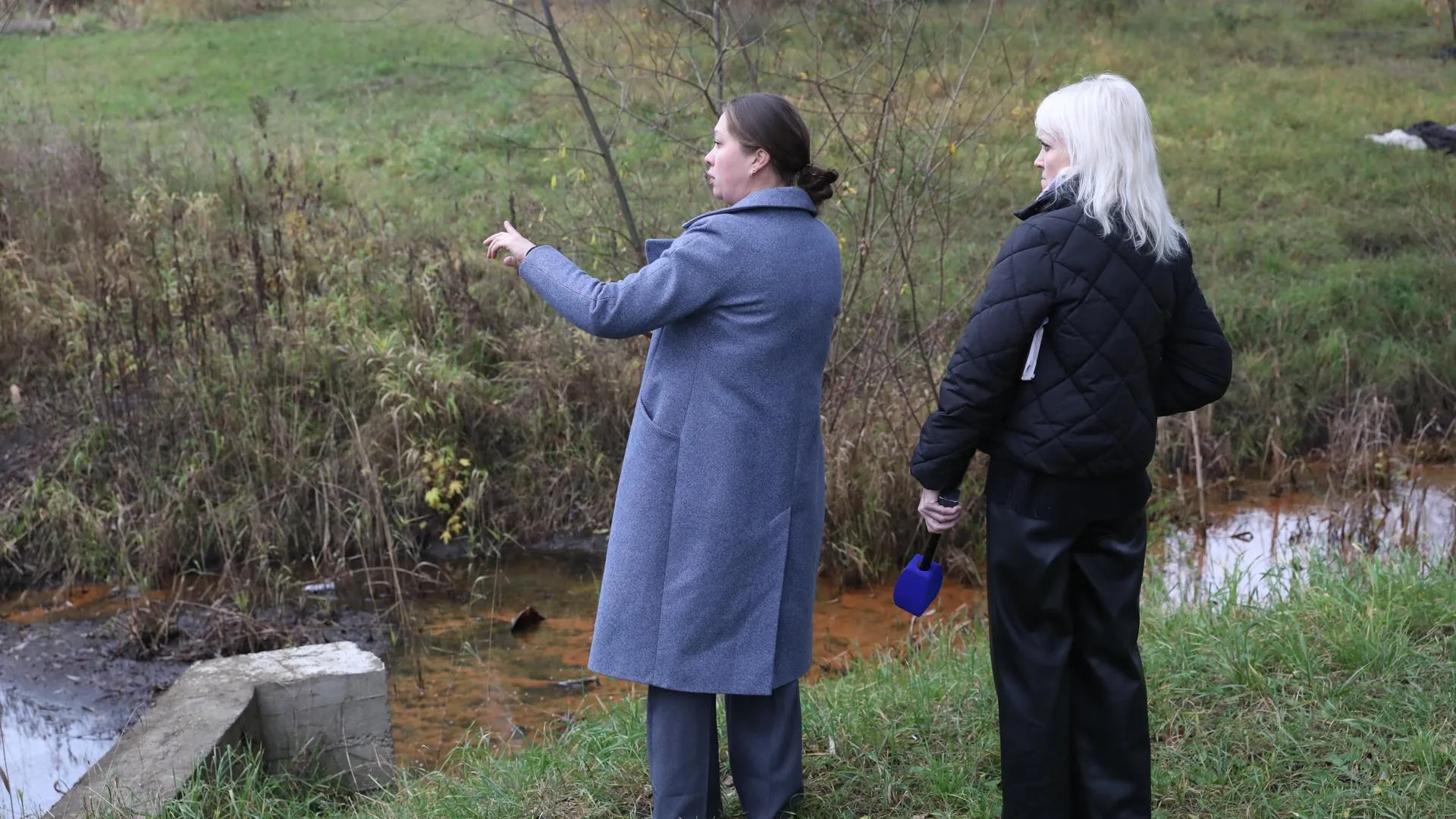 Исследование ручья у станции Водники в Долгопрудном проведут по просьбе жителей