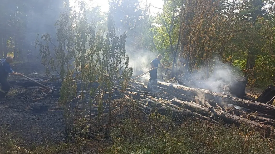 Лесной пожар ликвидировали в Лосино-Петровском