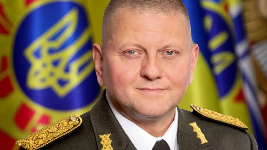 Политолог заявил, что Залужный отрабатывает повестку Лондона