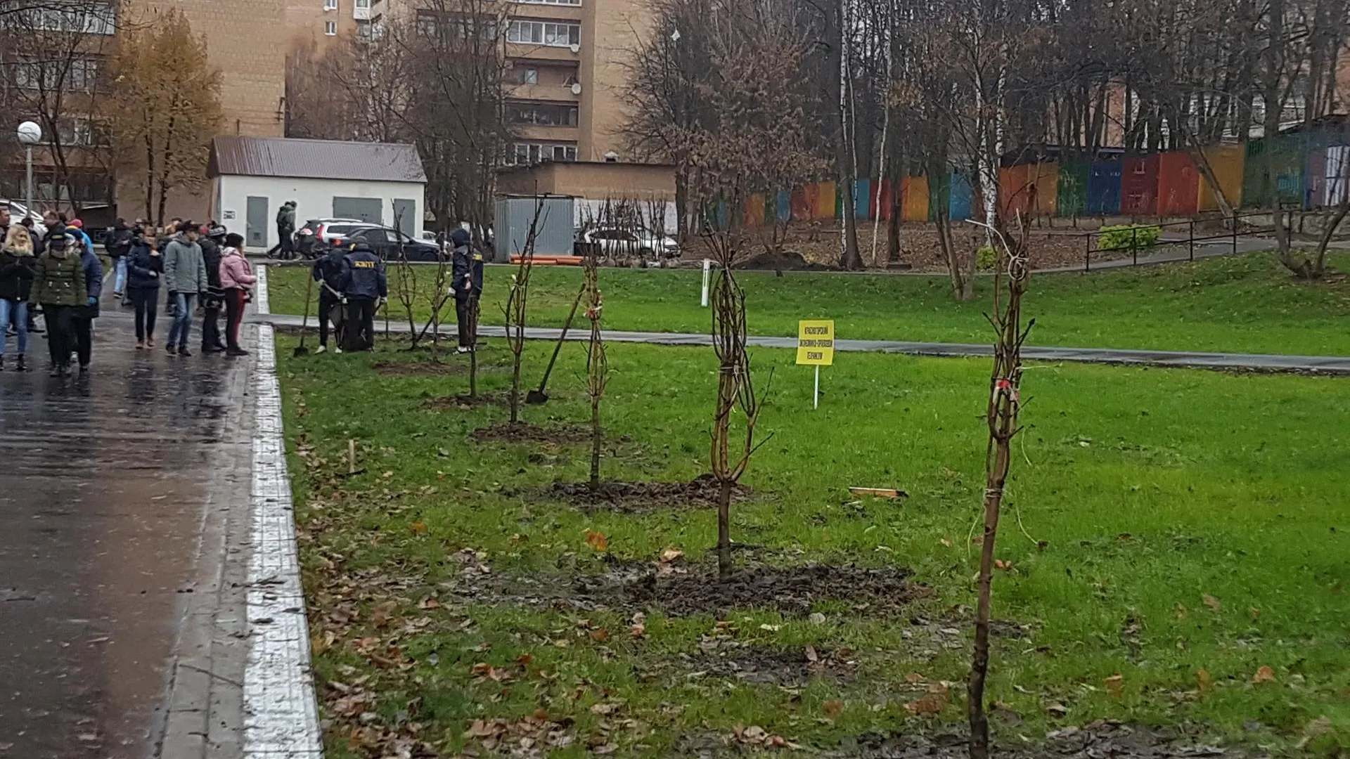 В Балашихе проводят проверку по факту уничтожения молодых деревьев местным жителем