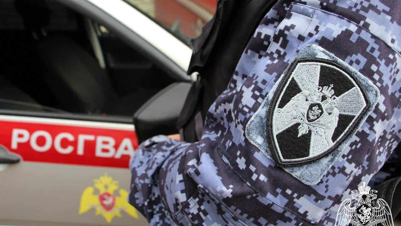 Росгвардейцы Подмосковья задержали подозреваемого в умышленной порче автомобиля