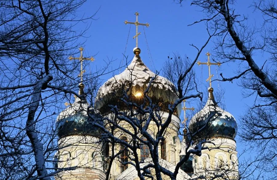 Виталий Аньков