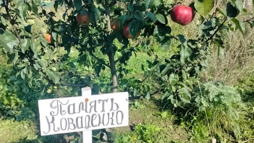 Конкурс «Лучший питомник участкового лесничества» провели в Бородинском филиале «Мособллеса»
