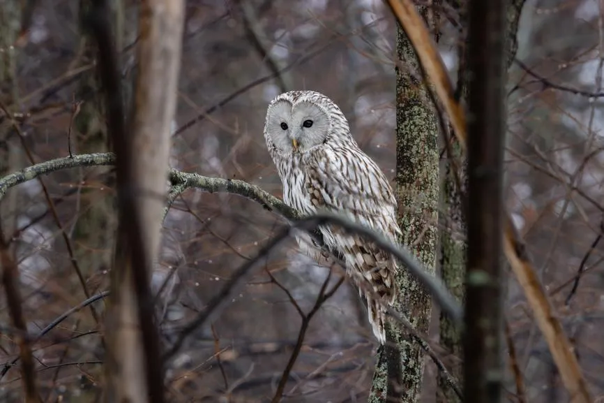 Илья Бурыкин / Фотобанк Лори