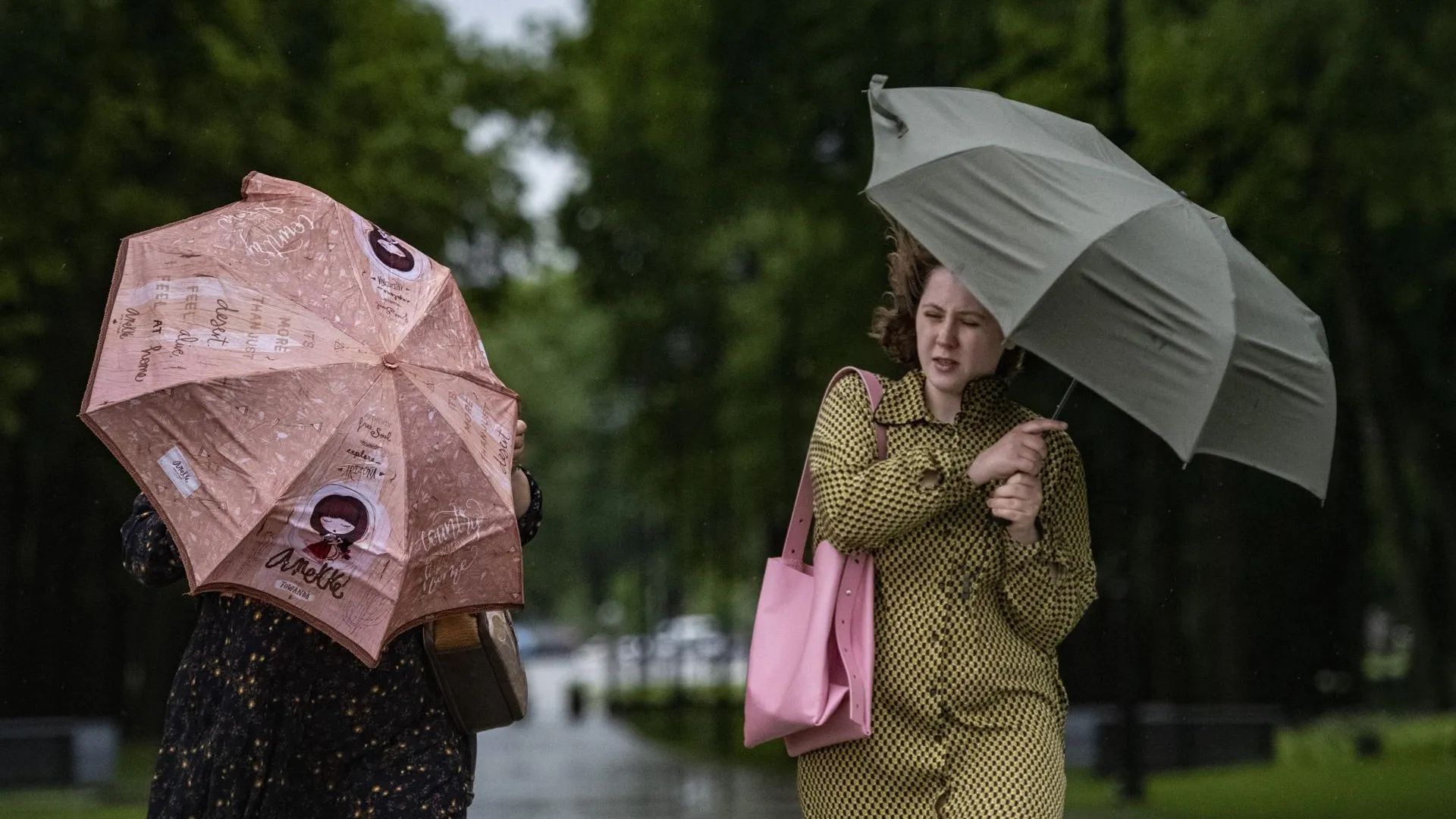 «Желтый» уровень опасности из‑за ветра объявили в Московском регионе на 19 июня