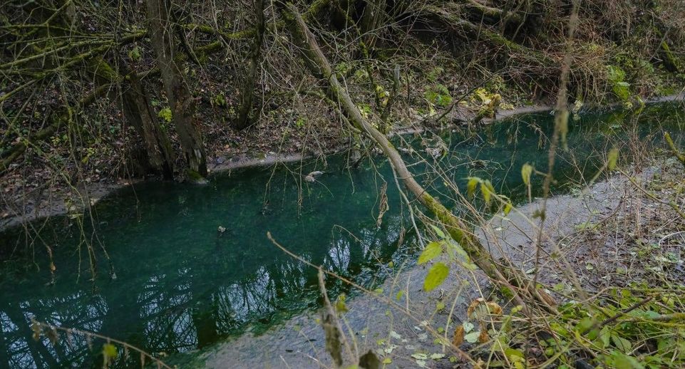 В Сергиево-Посадском округе началась очистка притока реки Кончуры