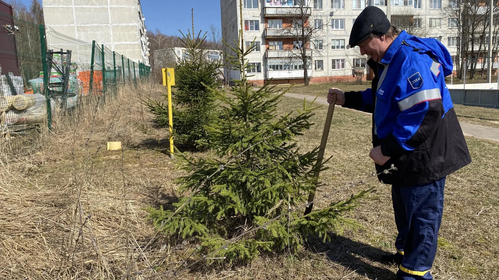 Житель села Манушкино высадил аллею возле дома