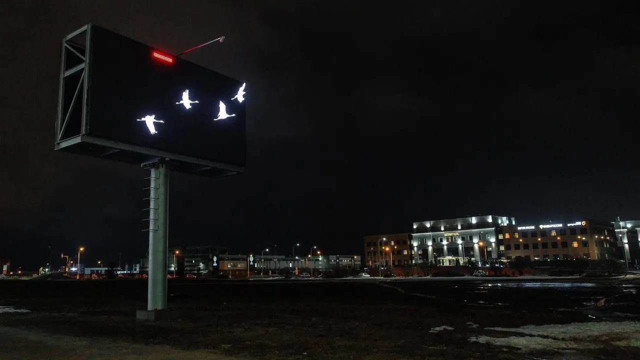 Дубна присоединилась к акциям памяти жертв теракта в «Крокус Сити Хол»