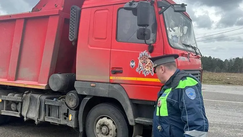 В Истре предотвращено образование незаконной свалки объемом 70 кубометров