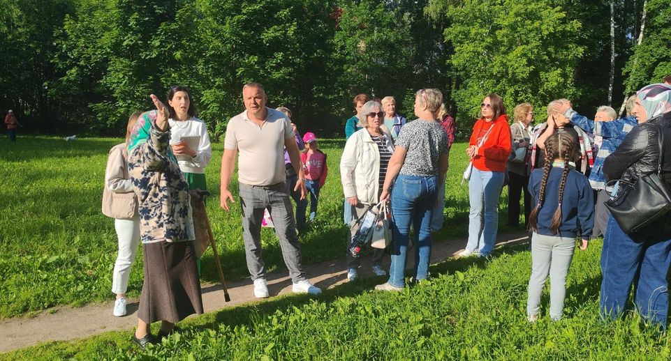 Будущее благоустройство парка «Березовая роща» в Дмитрове обсудили вместе с жителями