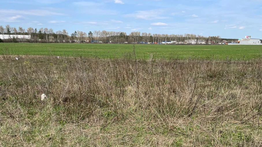 В Истре на торгах реализовали участок сельскохозяйственного назначения
