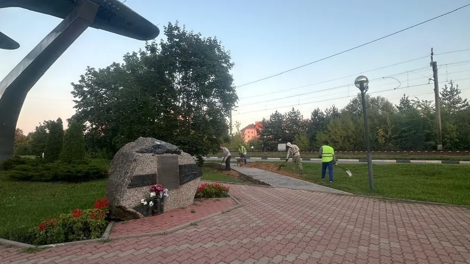 В Дубне вдоль новых тротуаров высадили свежий газон