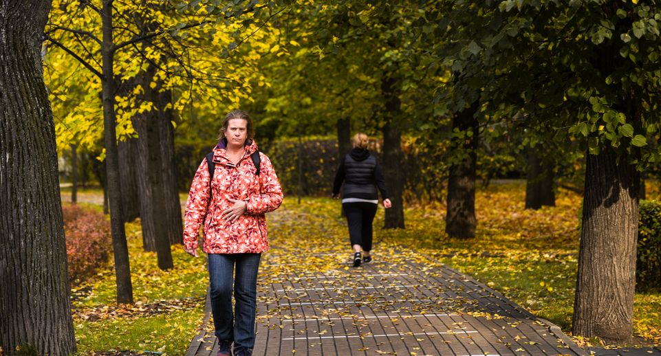Какой будет погода в октябре 2025 в Москве и Подмосковье: прогноз синоптиков