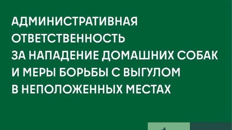В Подмосковье владелицу собак привлекут к ответственности