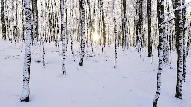 Подмосковный природно‑исторический комплекс «Горковский» поставлен на кадастр