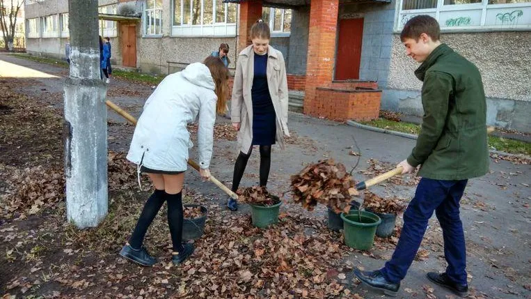 Школьники Жуковского будут убирать мусор в сквере в рамках акции «Чистый город»