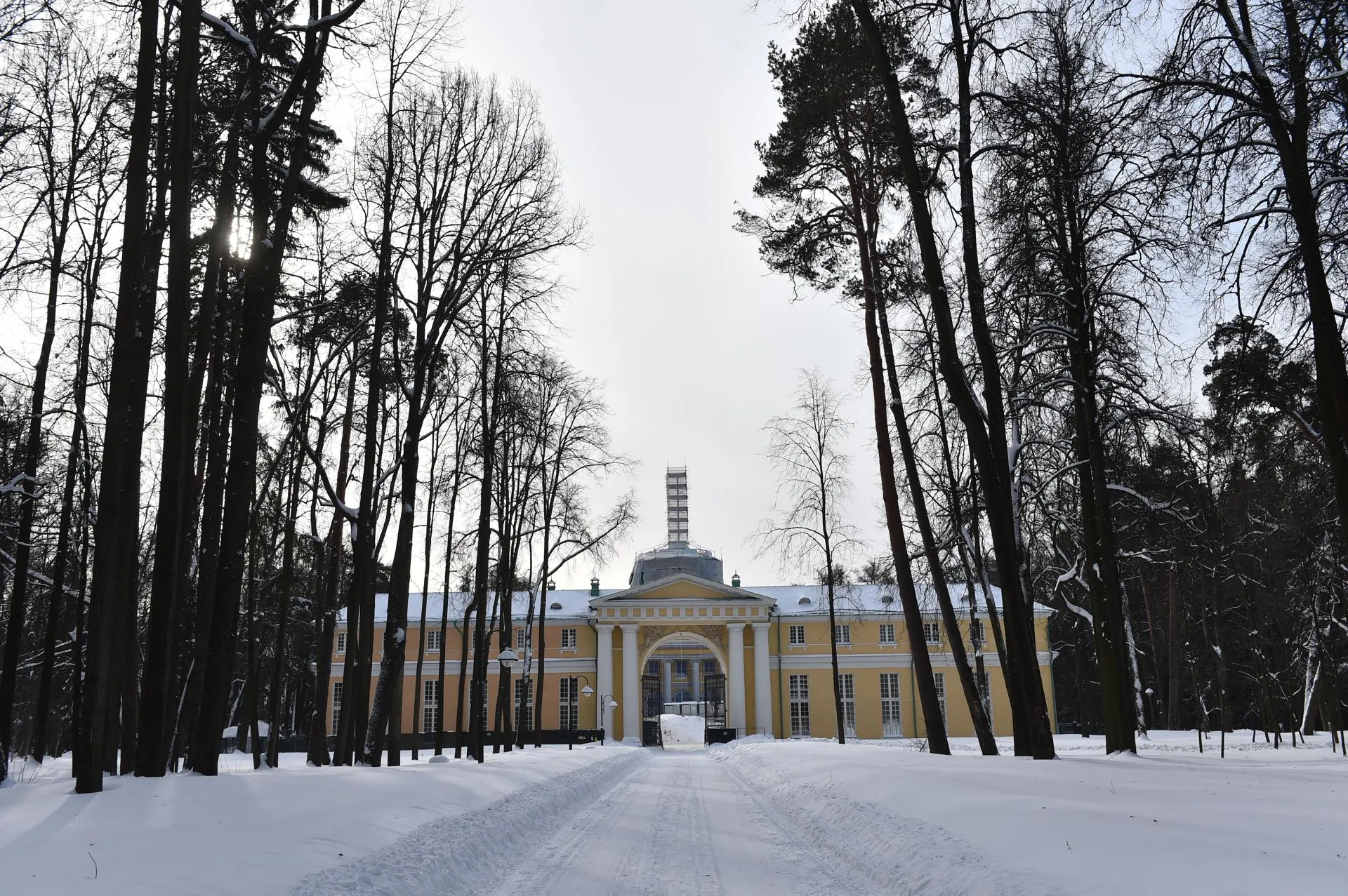 Александр Манзюк