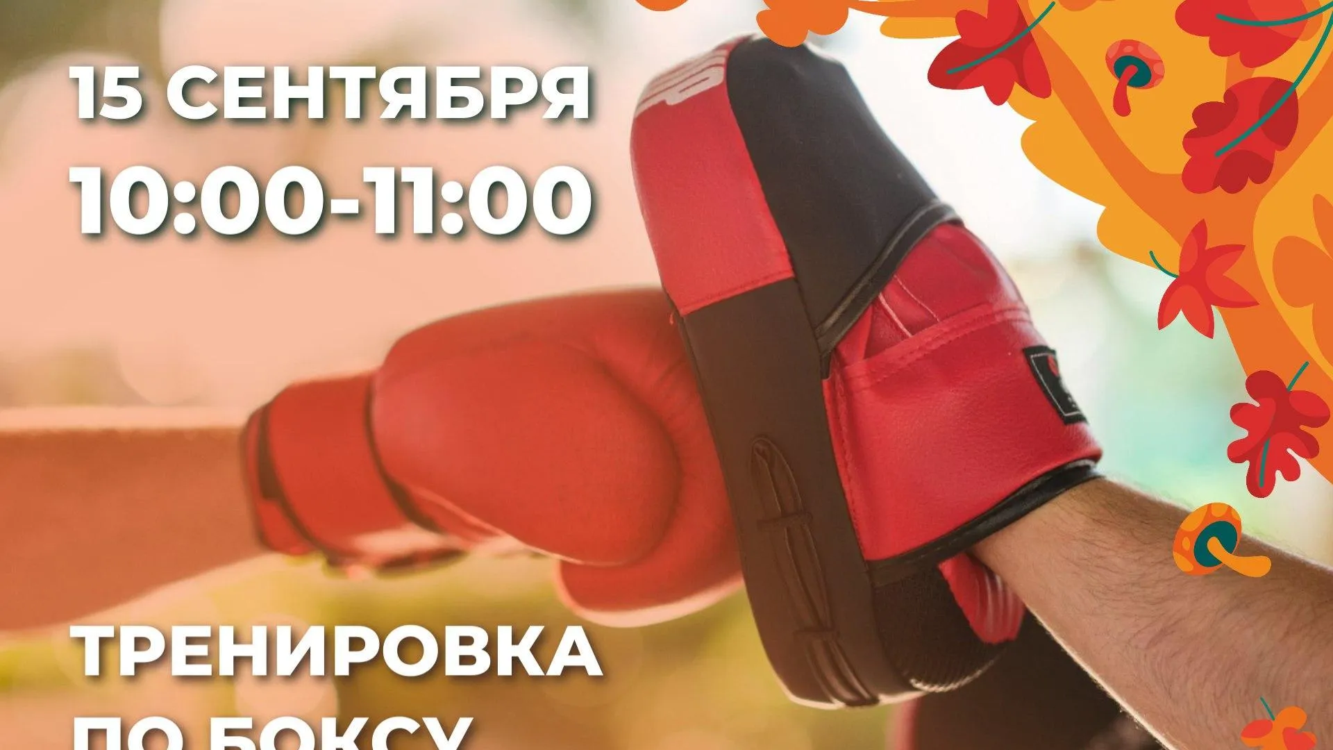 В красногорском парке проведут тренировку по боксу