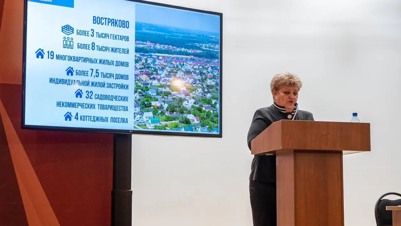 В микрорайоне Востряково Домодедова подвели итоги работ за 2024 год