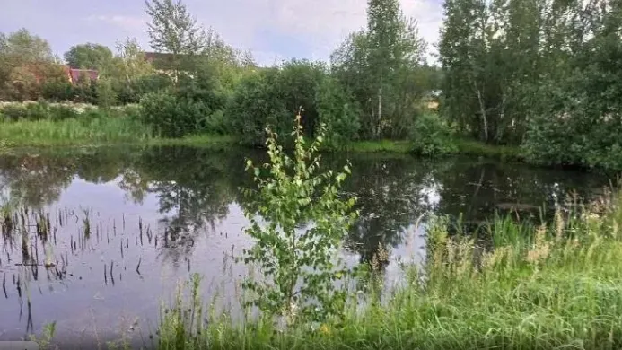 В Одинцове ликвидировали пересечение частного участка с водоохранной зоной