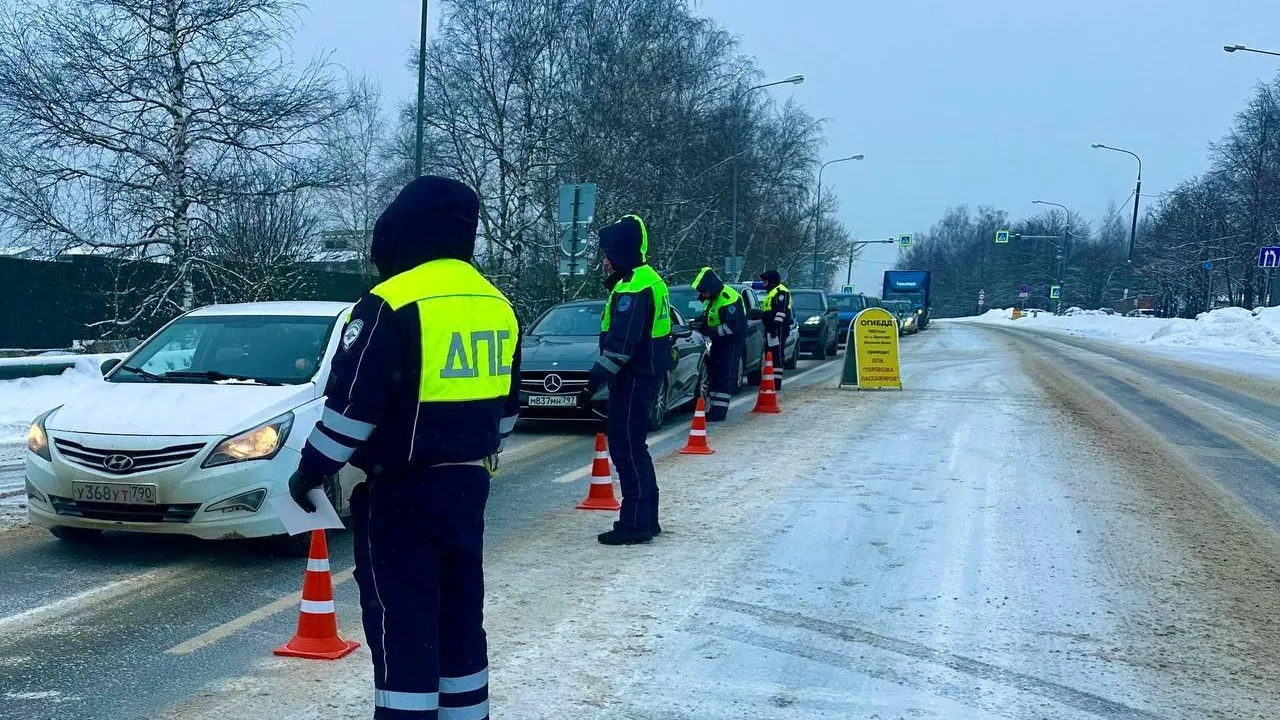 В Подмосковье на праздничных выходных выявили более 430 пьяных водителей