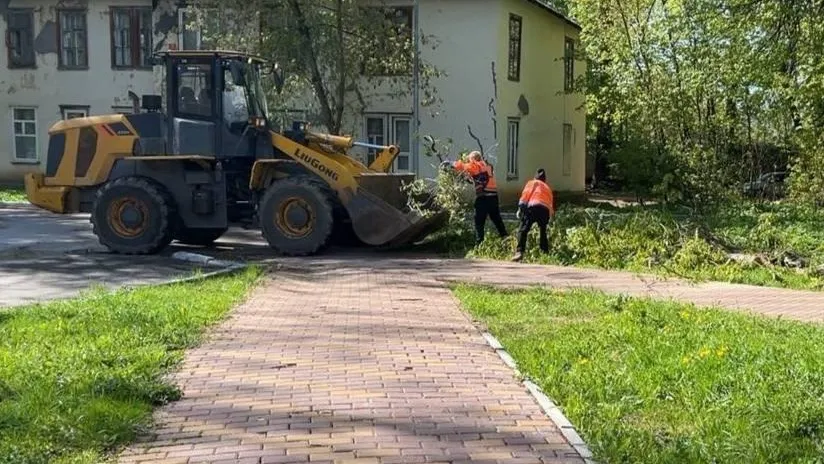 Сотрудники МБУ Подмосковья выявляют и устраняют сухостойные и аварийные деревья