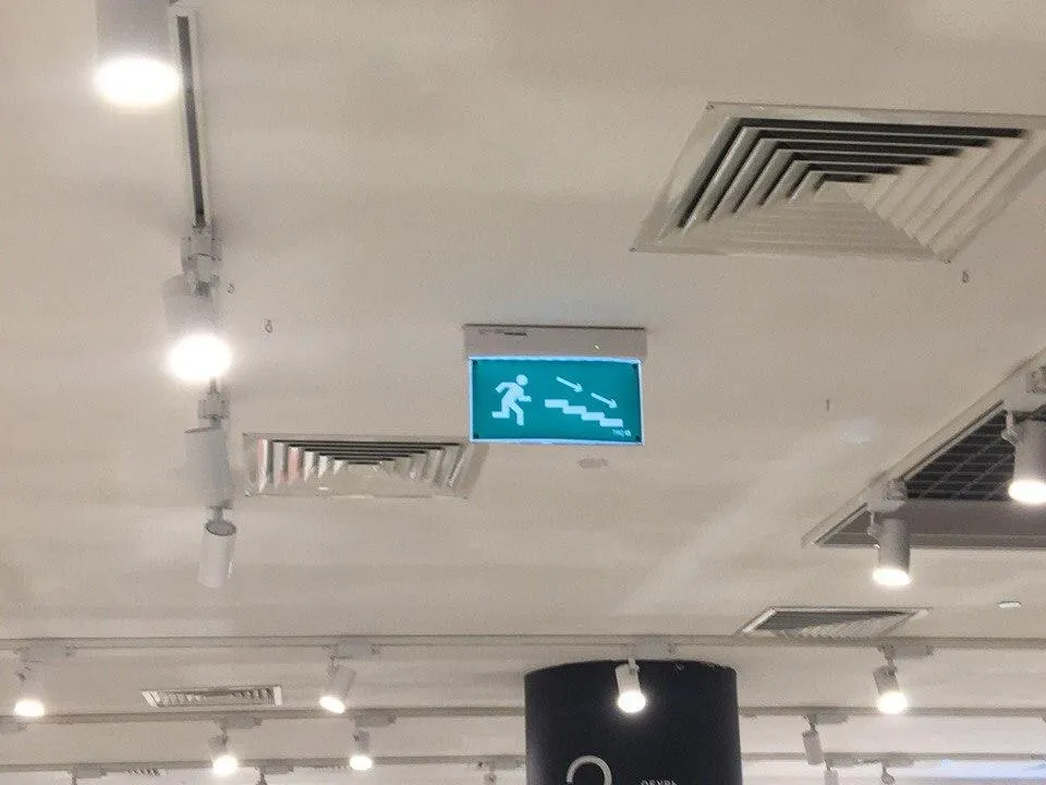 Ольга Швенк