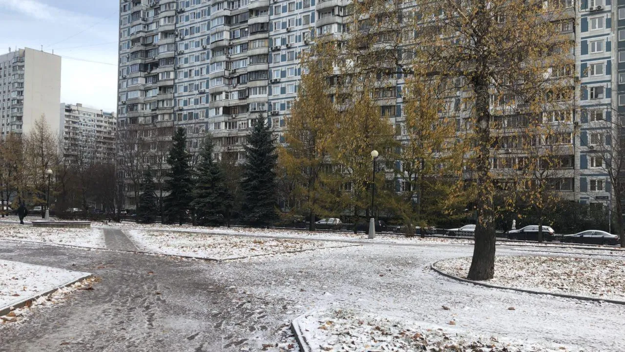 Снег и до минус 2 градусов ожидается в Московском регионе во вторник
